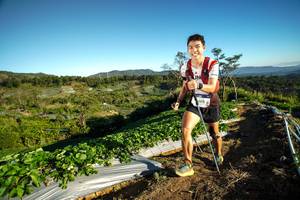 BIB: 500
                            <button type="button" onclick="openModal(19111407)" class="btn btn-primary btn-sm float-right btn-popup" data-toggle="modal" data-target=".modal-high-quality">
                        <i class="fas fa-shopping-cart"></i> Add to Cart
                    </button>
                                            <button type="button" onclick="isThisMe(19111407, true)" class="btn btn-success btn-sm float-right btn-popup btn-isme hidden" data-toggle="tooltip" data-placement="bottom" title="นี่คือรูปของคุณใช่ไหม คลิกที่นี่เพื่อเอาเข้าอัลบั้ม">
                        <i class="fas fa-plus"></i> Add to album
                    </button>
                    <button type="button" onclick="isThisMe(19111407, false)" class="btn btn-warning btn-sm float-right btn-popup btn-isnotme hidden">
                        <i class="fas fa-ban"></i> Remove from album
                    </button>